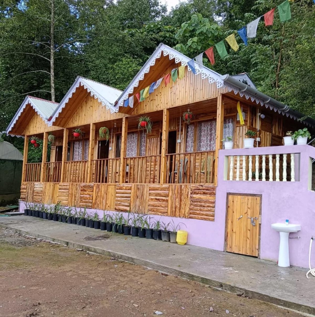 Orchid villa Homestay